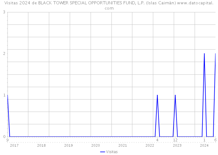 Visitas 2024 de BLACK TOWER SPECIAL OPPORTUNITIES FUND, L.P. (Islas Caimán) 
