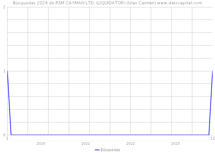 Búsquedas 2024 de RSM CAYMAN LTD. (LIQUIDATOR) (Islas Caimán) 