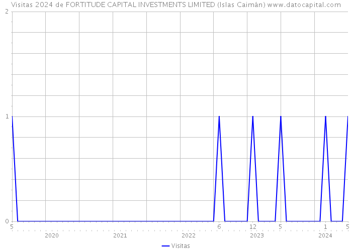 Visitas 2024 de FORTITUDE CAPITAL INVESTMENTS LIMITED (Islas Caimán) 