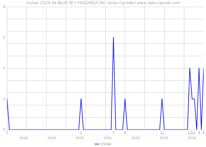 Visitas 2024 de BLUE SKY HOLDINGS INC (Islas Caimán) 