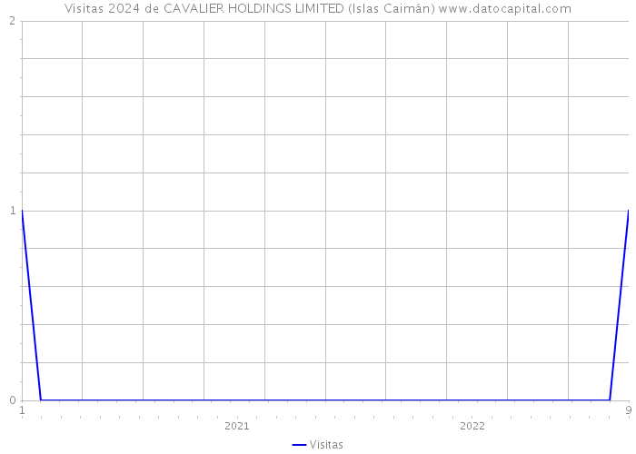 Visitas 2024 de CAVALIER HOLDINGS LIMITED (Islas Caimán) 