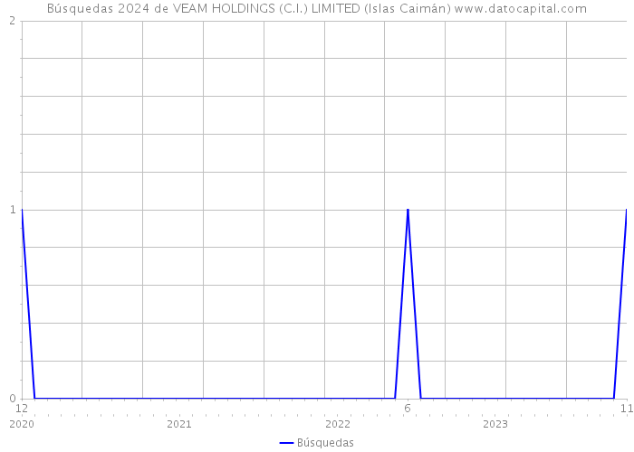 Búsquedas 2024 de VEAM HOLDINGS (C.I.) LIMITED (Islas Caimán) 