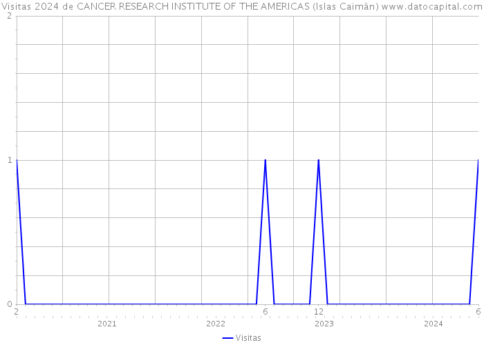 Visitas 2024 de CANCER RESEARCH INSTITUTE OF THE AMERICAS (Islas Caimán) 