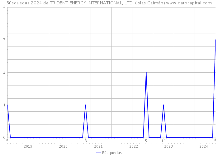 Búsquedas 2024 de TRIDENT ENERGY INTERNATIONAL, LTD. (Islas Caimán) 
