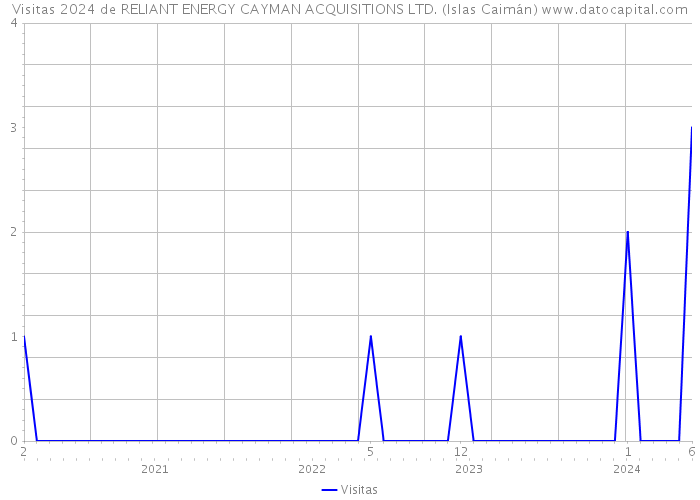 Visitas 2024 de RELIANT ENERGY CAYMAN ACQUISITIONS LTD. (Islas Caimán) 