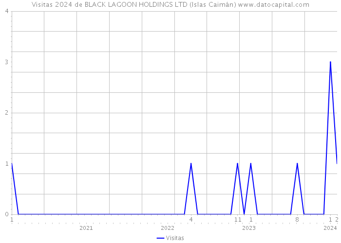 Visitas 2024 de BLACK LAGOON HOLDINGS LTD (Islas Caimán) 