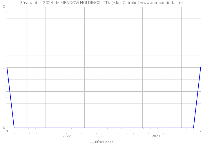 Búsquedas 2024 de MEADOW HOLDINGS LTD. (Islas Caimán) 