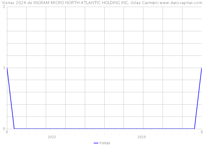 Visitas 2024 de INGRAM MICRO NORTH ATLANTIC HOLDING INC. (Islas Caimán) 