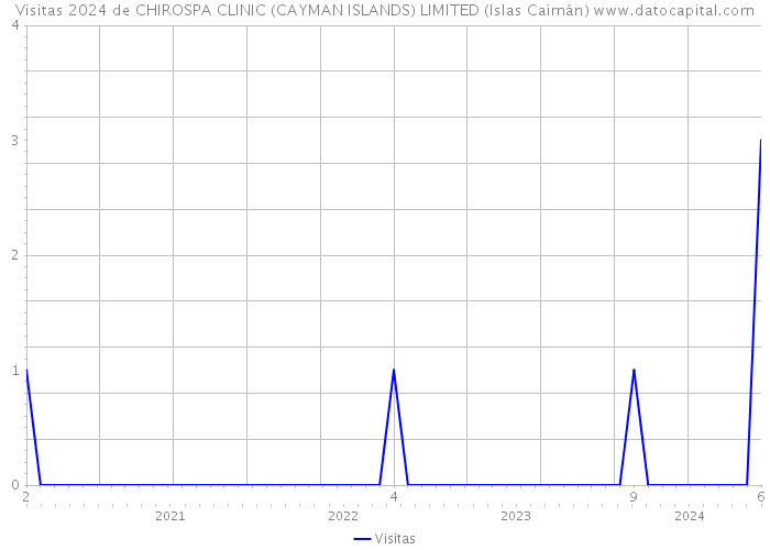 Visitas 2024 de CHIROSPA CLINIC (CAYMAN ISLANDS) LIMITED (Islas Caimán) 