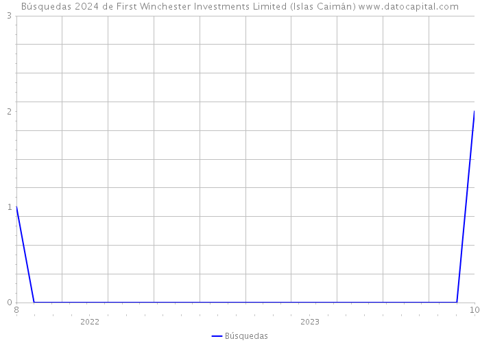 Búsquedas 2024 de First Winchester Investments Limited (Islas Caimán) 