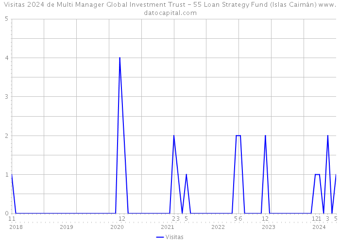 Visitas 2024 de Multi Manager Global Investment Trust - 55 Loan Strategy Fund (Islas Caimán) 
