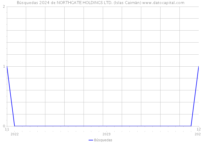 Búsquedas 2024 de NORTHGATE HOLDINGS LTD. (Islas Caimán) 