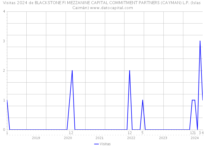 Visitas 2024 de BLACKSTONE FI MEZZANINE CAPITAL COMMITMENT PARTNERS (CAYMAN) L.P. (Islas Caimán) 
