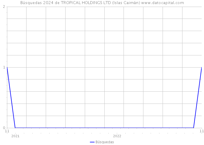 Búsquedas 2024 de TROPICAL HOLDINGS LTD (Islas Caimán) 