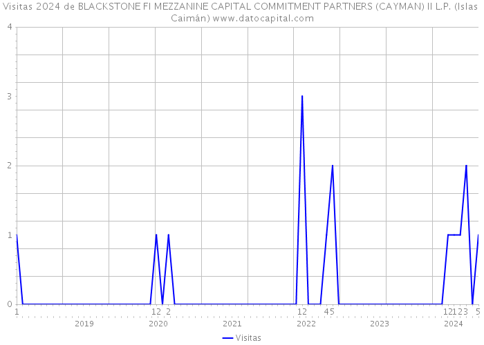 Visitas 2024 de BLACKSTONE FI MEZZANINE CAPITAL COMMITMENT PARTNERS (CAYMAN) II L.P. (Islas Caimán) 