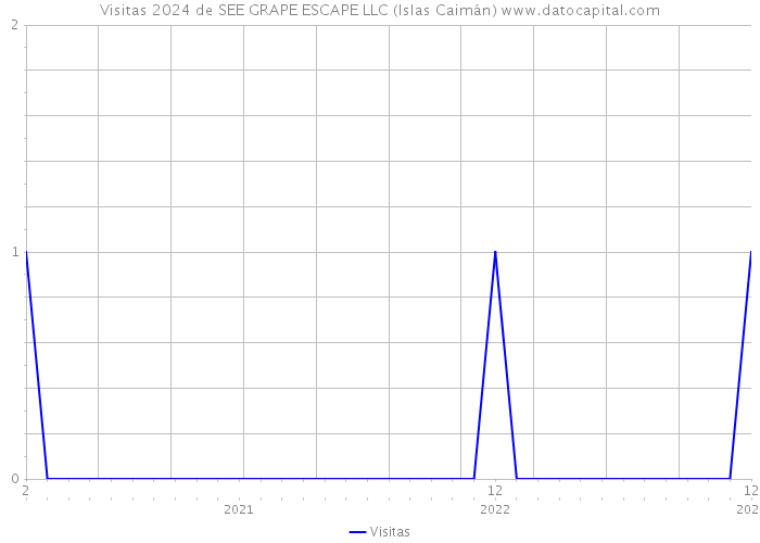 Visitas 2024 de SEE GRAPE ESCAPE LLC (Islas Caimán) 