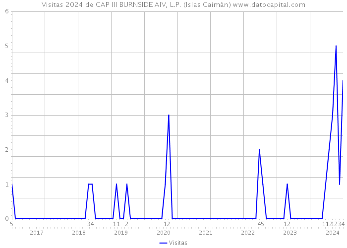 Visitas 2024 de CAP III BURNSIDE AIV, L.P. (Islas Caimán) 