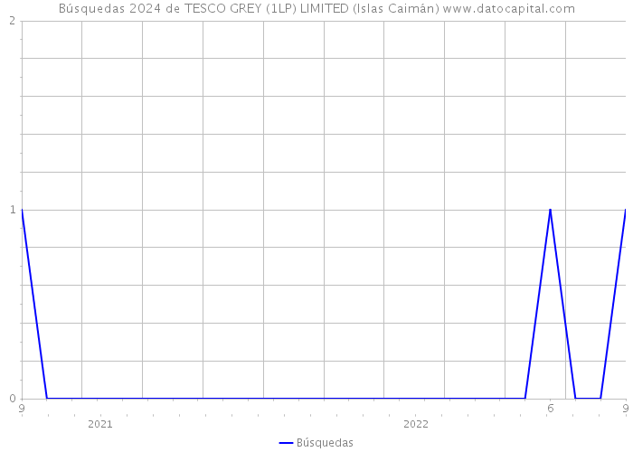 Búsquedas 2024 de TESCO GREY (1LP) LIMITED (Islas Caimán) 