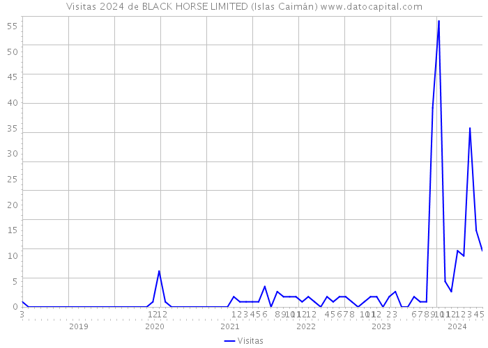 Visitas 2024 de BLACK HORSE LIMITED (Islas Caimán) 