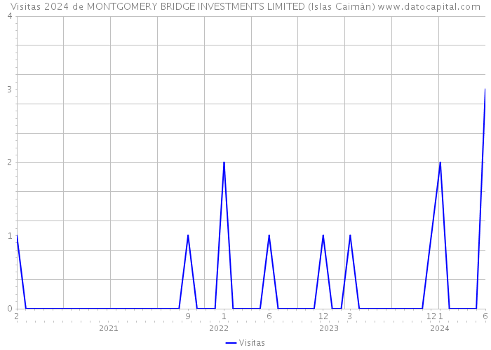 Visitas 2024 de MONTGOMERY BRIDGE INVESTMENTS LIMITED (Islas Caimán) 