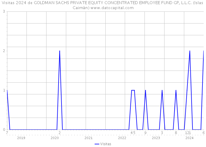Visitas 2024 de GOLDMAN SACHS PRIVATE EQUITY CONCENTRATED EMPLOYEE FUND GP, L.L.C. (Islas Caimán) 