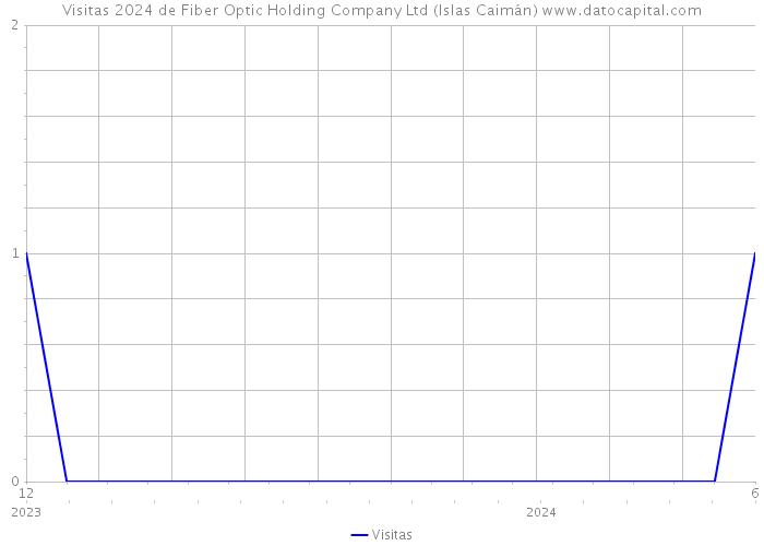 Visitas 2024 de Fiber Optic Holding Company Ltd (Islas Caimán) 