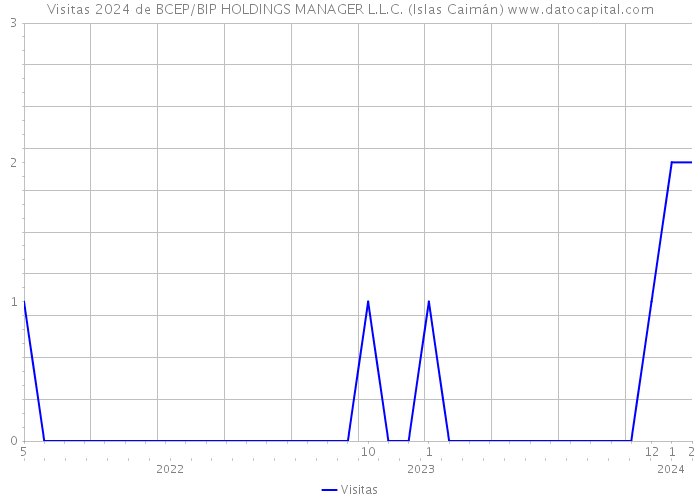 Visitas 2024 de BCEP/BIP HOLDINGS MANAGER L.L.C. (Islas Caimán) 