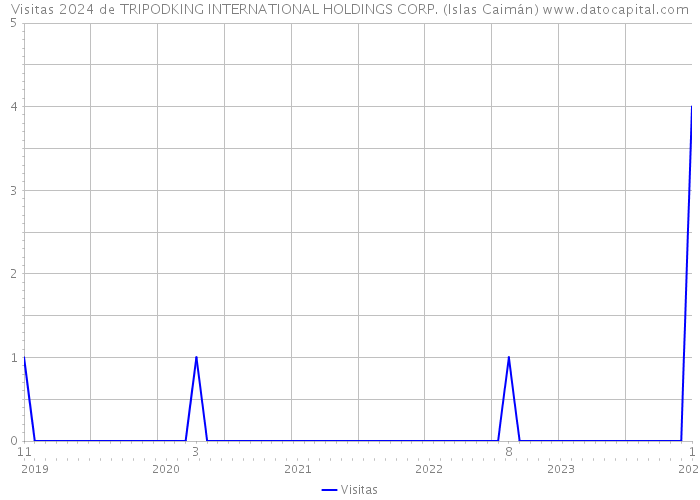 Visitas 2024 de TRIPODKING INTERNATIONAL HOLDINGS CORP. (Islas Caimán) 