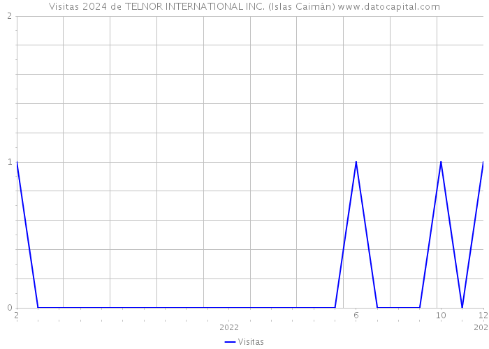 Visitas 2024 de TELNOR INTERNATIONAL INC. (Islas Caimán) 