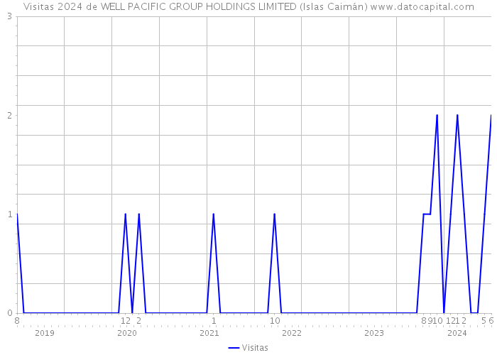 Visitas 2024 de WELL PACIFIC GROUP HOLDINGS LIMITED (Islas Caimán) 