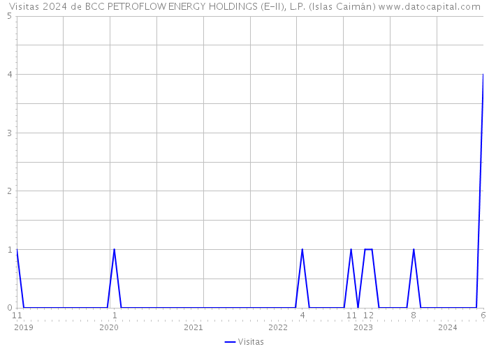Visitas 2024 de BCC PETROFLOW ENERGY HOLDINGS (E-II), L.P. (Islas Caimán) 