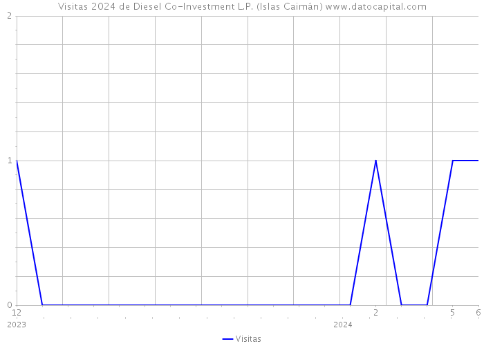 Visitas 2024 de Diesel Co-Investment L.P. (Islas Caimán) 
