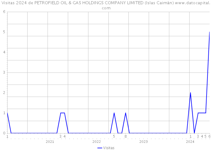 Visitas 2024 de PETROFIELD OIL & GAS HOLDINGS COMPANY LIMITED (Islas Caimán) 