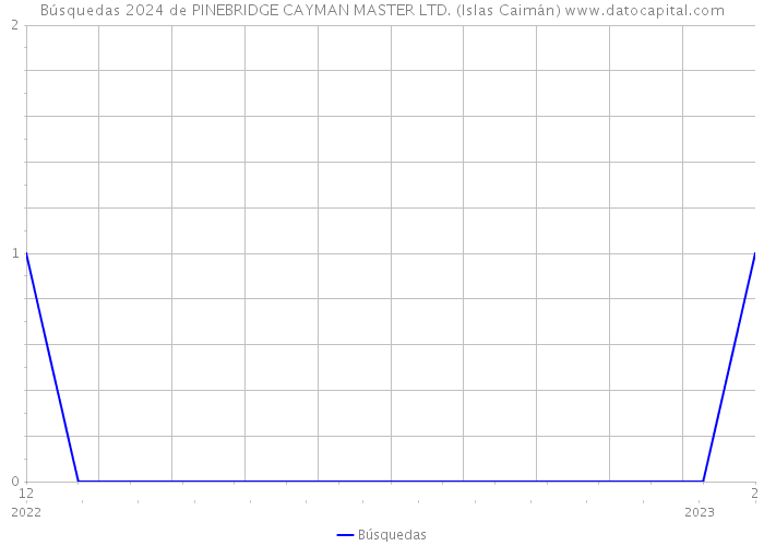 Búsquedas 2024 de PINEBRIDGE CAYMAN MASTER LTD. (Islas Caimán) 