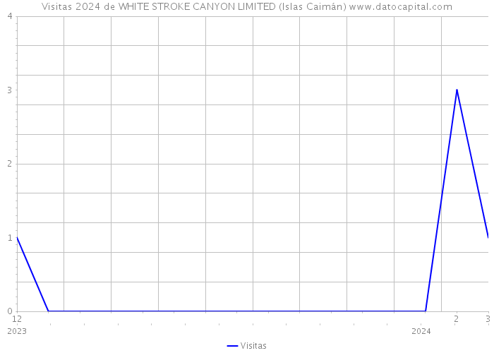 Visitas 2024 de WHITE STROKE CANYON LIMITED (Islas Caimán) 