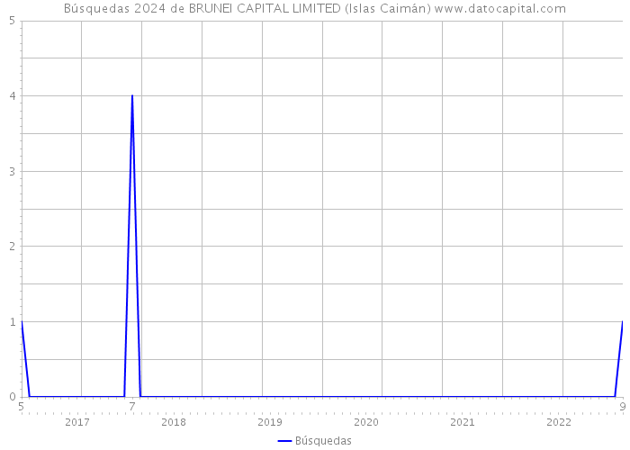 Búsquedas 2024 de BRUNEI CAPITAL LIMITED (Islas Caimán) 