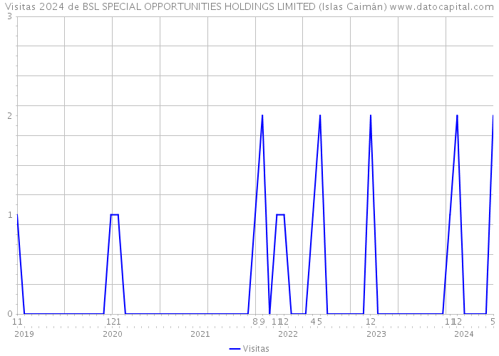 Visitas 2024 de BSL SPECIAL OPPORTUNITIES HOLDINGS LIMITED (Islas Caimán) 