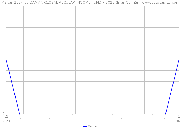 Visitas 2024 de DAMAN GLOBAL REGULAR INCOME FUND - 2025 (Islas Caimán) 