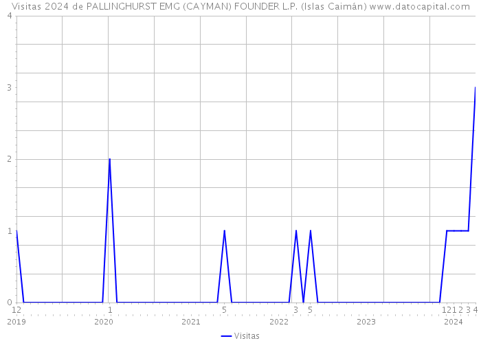Visitas 2024 de PALLINGHURST EMG (CAYMAN) FOUNDER L.P. (Islas Caimán) 