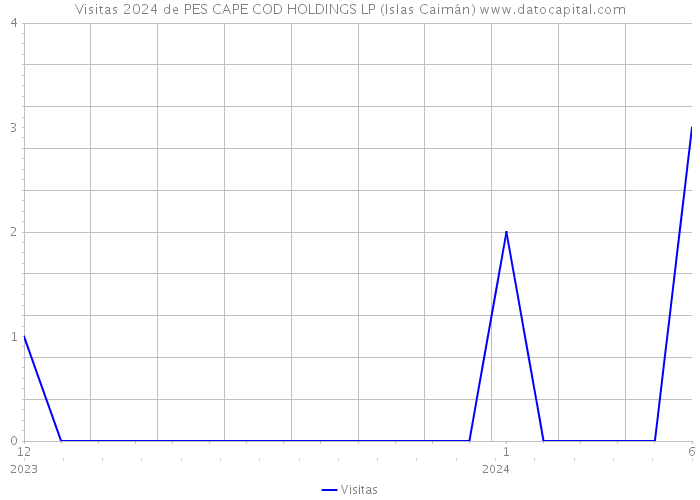 Visitas 2024 de PES CAPE COD HOLDINGS LP (Islas Caimán) 