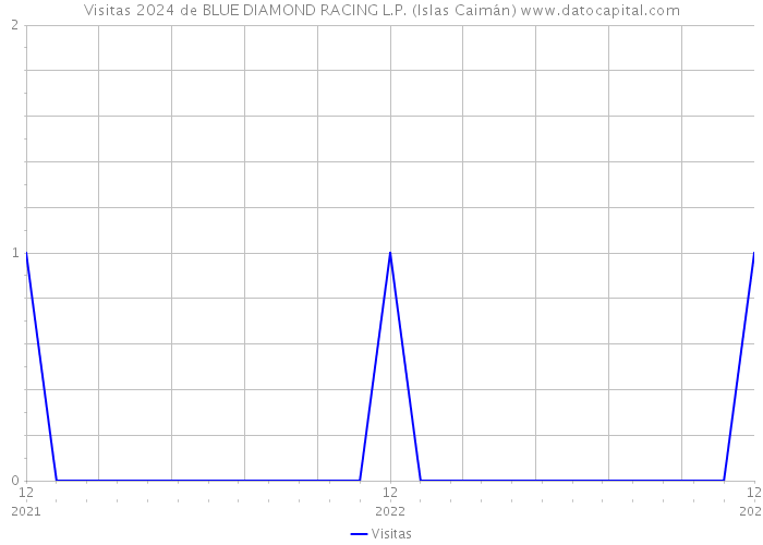 Visitas 2024 de BLUE DIAMOND RACING L.P. (Islas Caimán) 