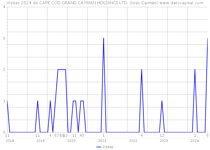 Visitas 2024 de CAPE COD GRAND CAYMAN HOLDINGS LTD. (Islas Caimán) 