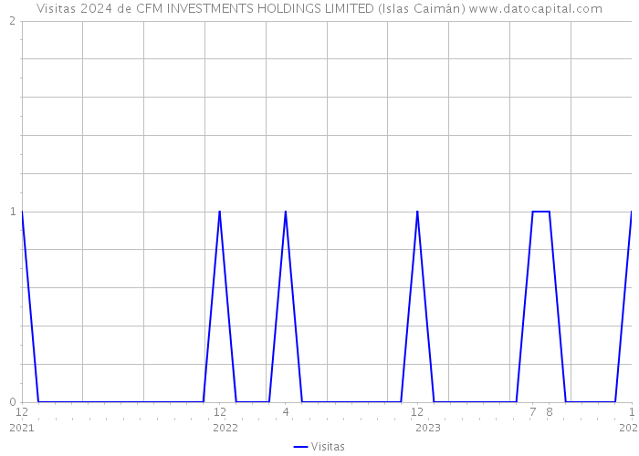 Visitas 2024 de CFM INVESTMENTS HOLDINGS LIMITED (Islas Caimán) 