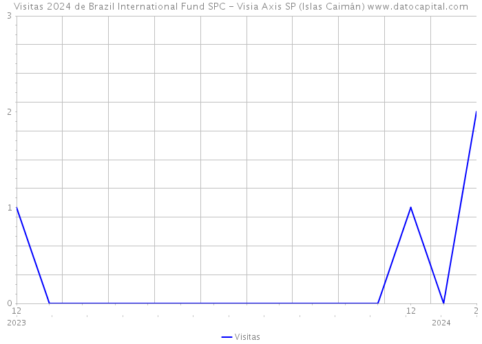 Visitas 2024 de Brazil International Fund SPC - Visia Axis SP (Islas Caimán) 