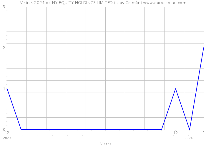 Visitas 2024 de NY EQUITY HOLDINGS LIMITED (Islas Caimán) 