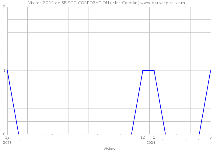 Visitas 2024 de BRISCO CORPORATION (Islas Caimán) 