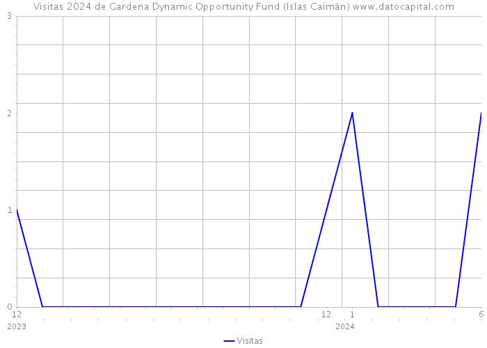 Visitas 2024 de Gardena Dynamic Opportunity Fund (Islas Caimán) 