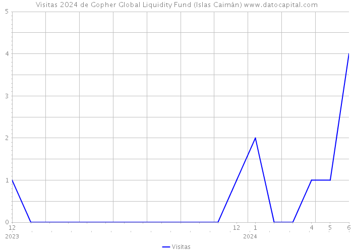 Visitas 2024 de Gopher Global Liquidity Fund (Islas Caimán) 