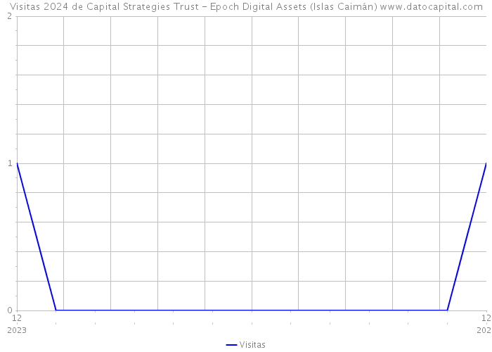 Visitas 2024 de Capital Strategies Trust - Epoch Digital Assets (Islas Caimán) 