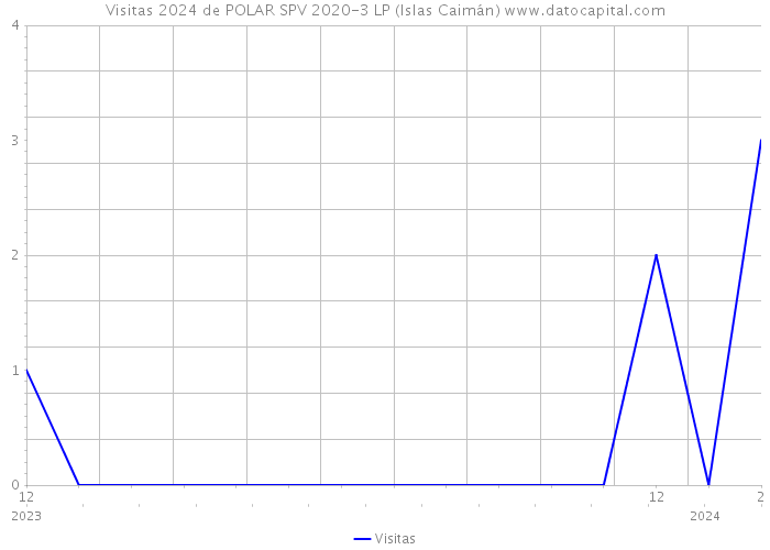 Visitas 2024 de POLAR SPV 2020-3 LP (Islas Caimán) 